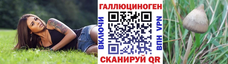 Галлюциногенные грибы Magic Shrooms  купить   Бикин 